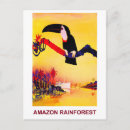 Search for amazon rainforest postcards parrot