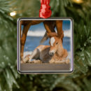 Search for animals of the wild christmas tree decorations Cute baby animal