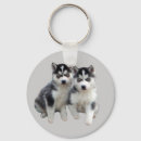 Search for husky puppy key rings Siberian