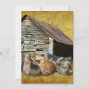 Search for pig cards Cute pigs