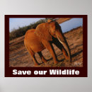 Search for save the elephant posters Animal