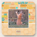 Search for vertically challenged coasters I can has cheezburger