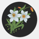 Search for narcissus stickers White