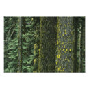 Search for rogue art Nature