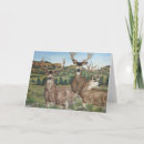 Search for buck mule deer postcards Nature