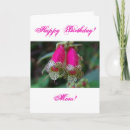 Search for leopards cards Tropical