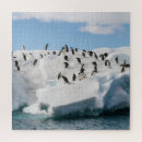 Search for antarctica puzzles Landscape