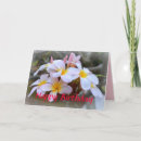 Search for frangipani birthday cards invites White