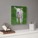 Search for sheep lamb art Cute