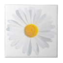 Search for close up tiles Petals
