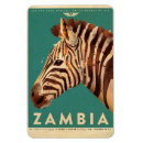 Search for zambia magnets Africa