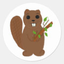 Search for cute beaver stickers Rodents
