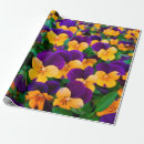 Search for beautiful wrapping paper Bright