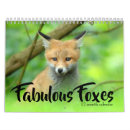 Search for habitat photography Fox