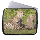 Search for environment laptop cases Africa