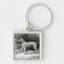 Search for breed square key rings Terrier