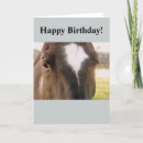 Search for horse birthday cards Beautiful