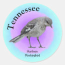 Search for mockingbird stickers Nature