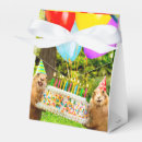 Search for birthday favour boxes Celebration