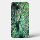 Search for pheasant iphone cases Peafowl