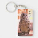 Search for owl photography Animals