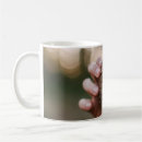 Search for natural wood mugs Texture