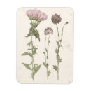 Search for bloom magnets Florals