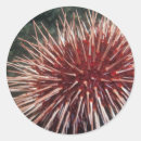 Search for giant stickers Red