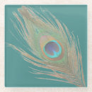 Search for peacock coasters Photography