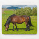 Search for horse mousepads Field