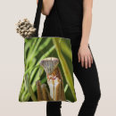 Search for mantis accessories Entomology