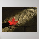 Search for canada symbol posters Travel