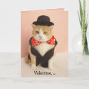 Search for knocked cards Cat
