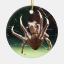 Search for spider christmas tree decorations Arachnids