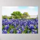 Search for bluebonnet art Country