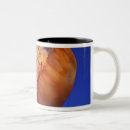 Search for translucent mugs Bright