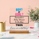 Search for twins baby shower decor Script