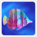 Search for tropical fish stickers Full length