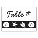 Search for seashells table cards Beach
