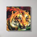 Search for tiger artist art Animal