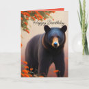 Search for orange bear cards Green
