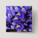 Search for irises badges Floral