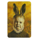 Search for flexible cards Rabbit