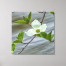 Search for pacific canvas prints Nature