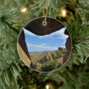 Search for big bend national park christmas tree decorations Desert