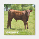 Search for rancher magnets Farmer