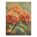 Search for soft focus posters Warm tones