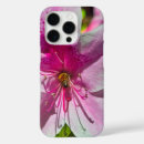 Search for azaleas electronics Botanical