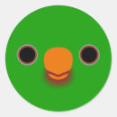 Search for lorikeet stickers Animal