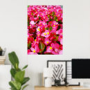 Search for hedge posters Flower